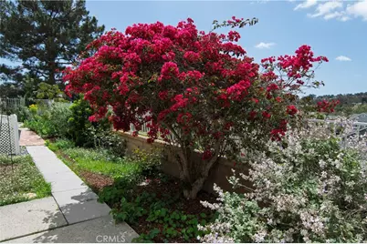 28242 Elmwood, Mission Viejo, CA 92692 - Photo 32