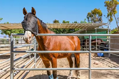 2123 Ronda Granada #G, Laguna Woods, CA 92637 - Photo 22