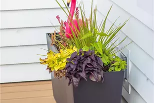 33751 Copper Lantern St, Dana Point, CA 92629 - Photo 28