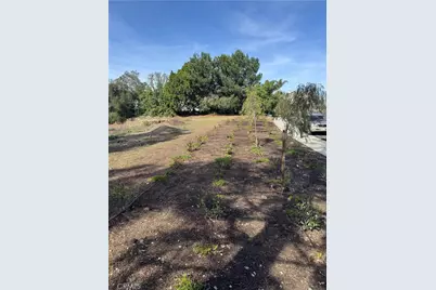 1562 Calle Cristina, San Dimas, CA 91773 - Photo 2