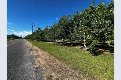 4180 County 203 Road, Hamilton City, CA 95951 - Photo 4