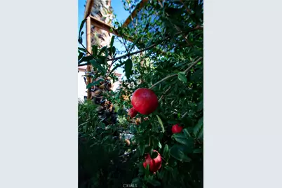 61504 Capilla Drive, Joshua Tree, CA 92252 - Photo 36