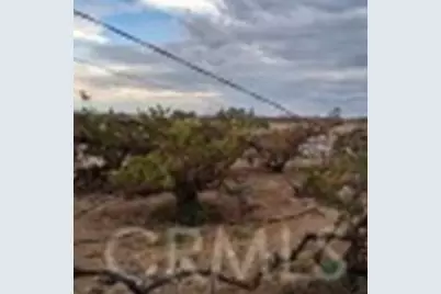 45824 Whetrock Road, Newberry Springs, CA 92365 - Photo 6