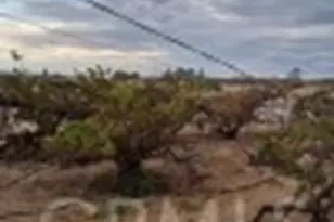 45824 Whetrock Rd, Newberry Springs, CA 92365 - Photo 6