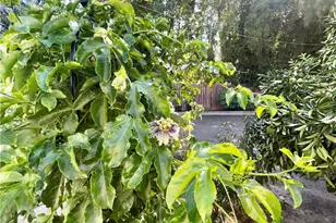 5712 Donna Ave, Tarzana, CA 91356 - Photo 48