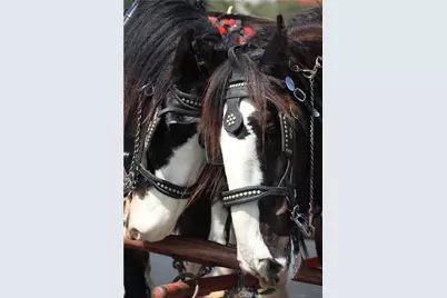 28111 Via Rueda, San Juan Capistrano, CA 92675 - Photo 28