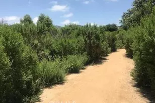 46 Conch Reef, Aliso Viejo, CA 92656 - Photo 28