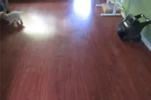 451 S Breed, Los Angeles, CA 90033 - Photo 34