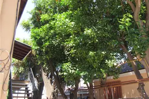 451 S Breed, Los Angeles, CA 90033 - Photo 18