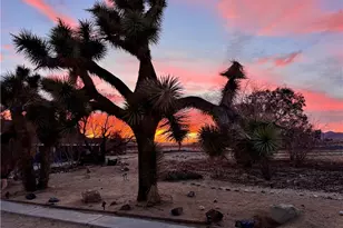 65585 4th St, Joshua Tree, CA 92252 - Photo 4