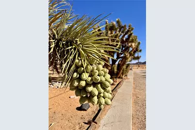 65585 4th Street, Joshua Tree, CA 92252 - Photo 32