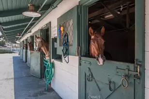 2390 Via Mariposa W, Laguna Woods, CA 92637 - Photo 48