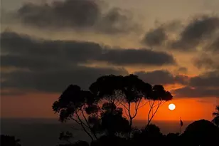 30802 Coast, Laguna Beach, CA 92651 - Photo 4