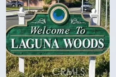 936 Avenida Majorca #B, Laguna Woods, CA 92637 - Photo 40