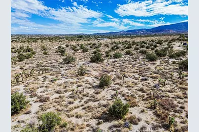30002 263rd, Llano, CA 93544 - Photo 42