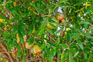 30 Entrada, Irvine, CA 92620 - Photo 40