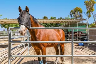 2104 Ronda Granada, Laguna Woods, CA 92637 - Photo 38