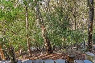 22221 Treeridge, Lake Forest, CA 92630 - Photo 36