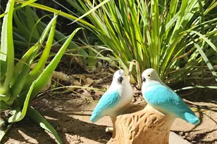 335 Ridgelake, Placentia, CA 92870 - Photo 8