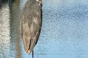 3408 Sparkler, Huntington Beach, CA 92649 - Photo 54