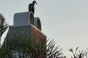 3408 Sparkler, Huntington Beach, CA 92649 - Photo 56