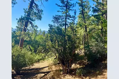 810 Villa Grove Avenue, Big Bear City, CA 92314 - Photo 30