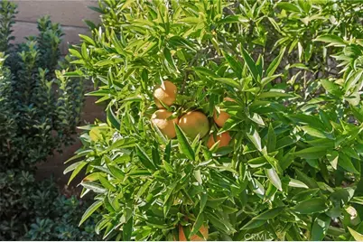 27301 Monforte, Mission Viejo, CA 92692 - Photo 34