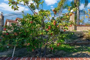 24301 Sunnycrest Ct, Diamond Bar, CA 91765 - Photo 32