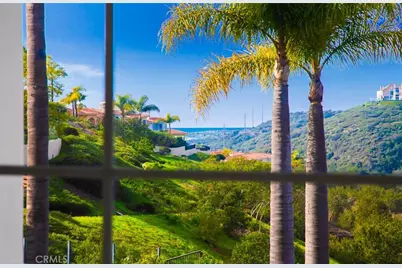 1 Monterey Pine, Newport Coast, CA 92657 - Photo 38