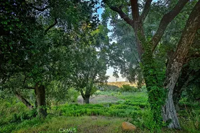 42050 Avenida Escala, Murrieta, CA 92562 - Photo 6