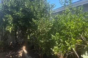 10510 Towne, Los Angeles, CA 90003 - Photo 6