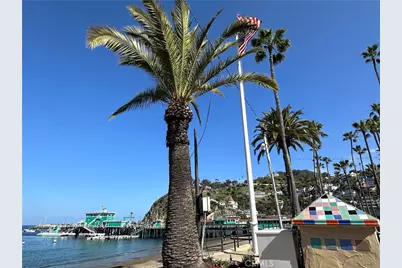 352 354 Eucalyptus, Avalon, CA 90704 - Photo 22