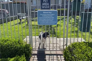 3 Saratoga, Newport Beach, CA 92660 - Photo 38