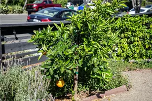 4762 E Mountain View Dr, San Diego, CA 92116 - Photo 6