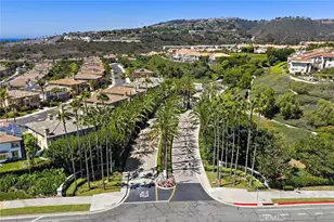5 Via Monarca, Dana Point, CA 92629 - Photo 56