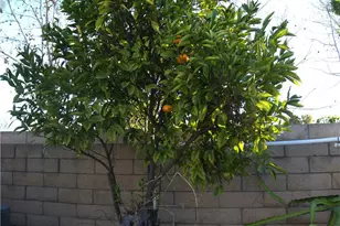 13181 Ferndale, Garden Grove, CA 92844 - Photo 18