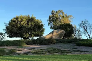 1 Falling Leaf, Irvine, CA 92612 - Photo 22