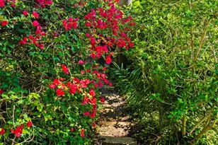 26841 Windsor Dr, San Juan Capistrano, CA 92675 - Photo 58