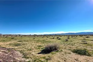 47527 Silver Valley Rd, Newberry Springs, CA 92365 - Photo 64