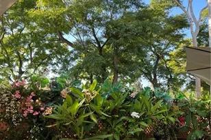 81 Pasto Rico, Rancho Santa Margarita, CA 92688 - Photo 38