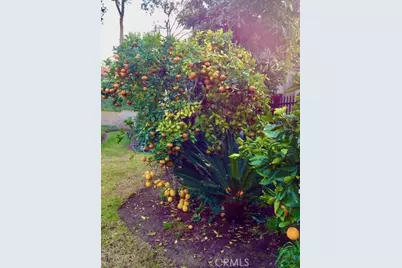 5384 W Paseo Del Lago #A, Laguna Woods, CA 92637 - Photo 6