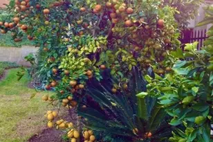 5384 W Paseo Del Lago, Laguna Woods, CA 92637 - Photo 6