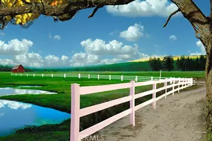 34 Calle Aragon, Laguna Woods, CA 92637 - Photo 36