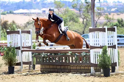 27791 Camino Del Rio, San Juan Capistrano, CA 92675 - Photo 52