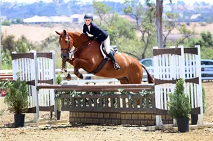 27791 Camino Del Rio, San Juan Capistrano, CA 92675 - Photo 52