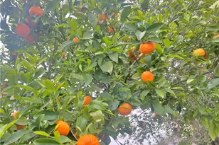 2846 Willow Glen Dr, El Cajon, CA 92019 - Photo 18