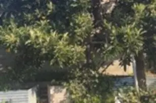 529 Sierra Pl, El Segundo, CA 90245 - Photo 12