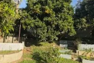 529 Sierra Pl, El Segundo, CA 90245 - Photo 10