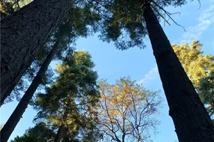 22166 Crestline, Palomar Mountain, CA 92060 - Photo 58