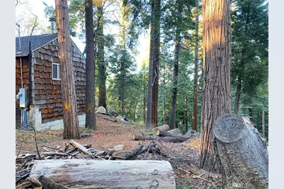 22166 Crestline, Palomar Mountain, CA 92060 - Photo 38